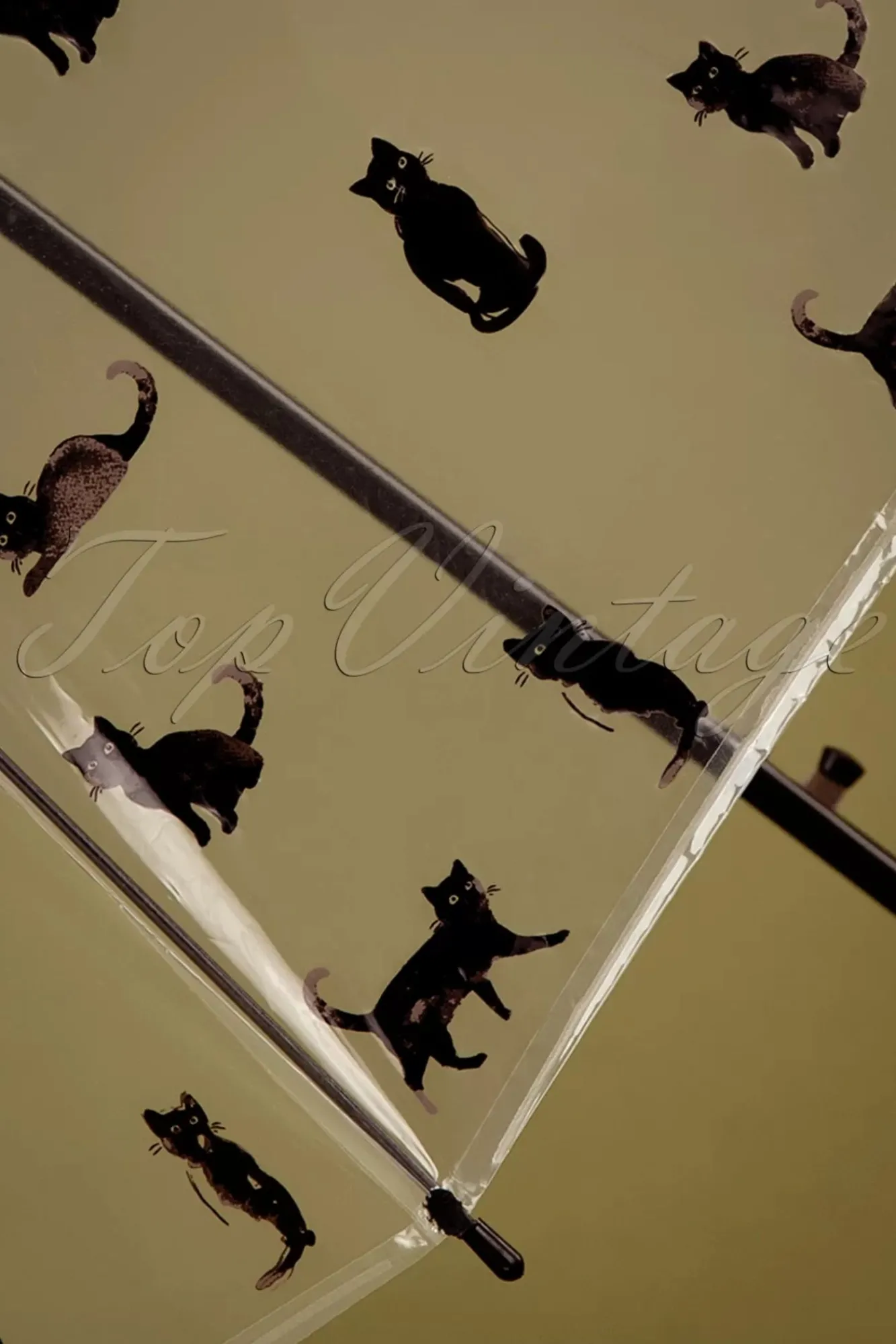 Clearance Chat Noir Transparante Koepelparaplu In Zwart Vrouwen Paraplu's