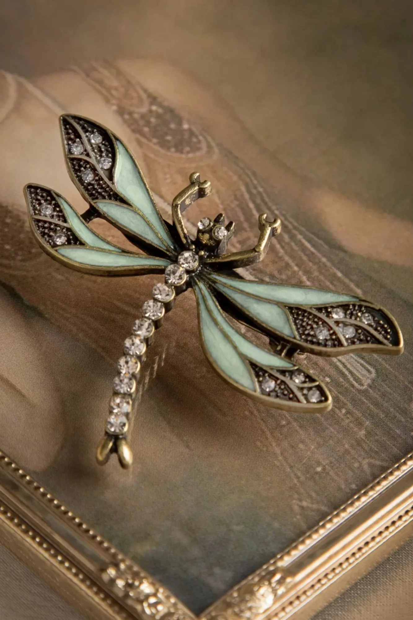 Hoe U Uw Dragonfly-Broche Kunt Trainen Vrouwen Sieraden