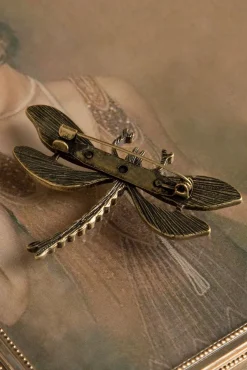 Hoe U Uw Dragonfly-Broche Kunt Trainen Vrouwen Sieraden