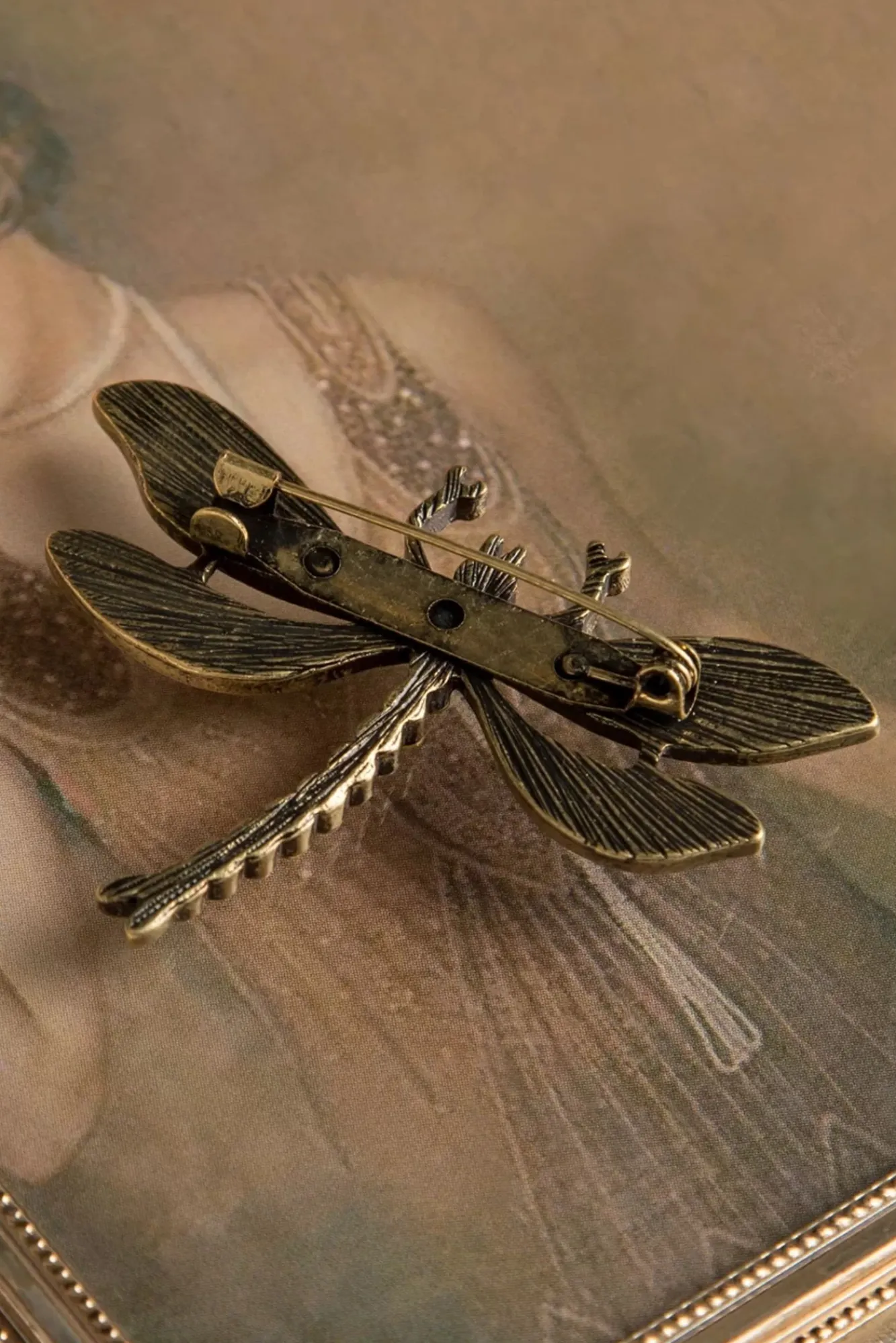 Hoe U Uw Dragonfly-Broche Kunt Trainen Vrouwen Sieraden