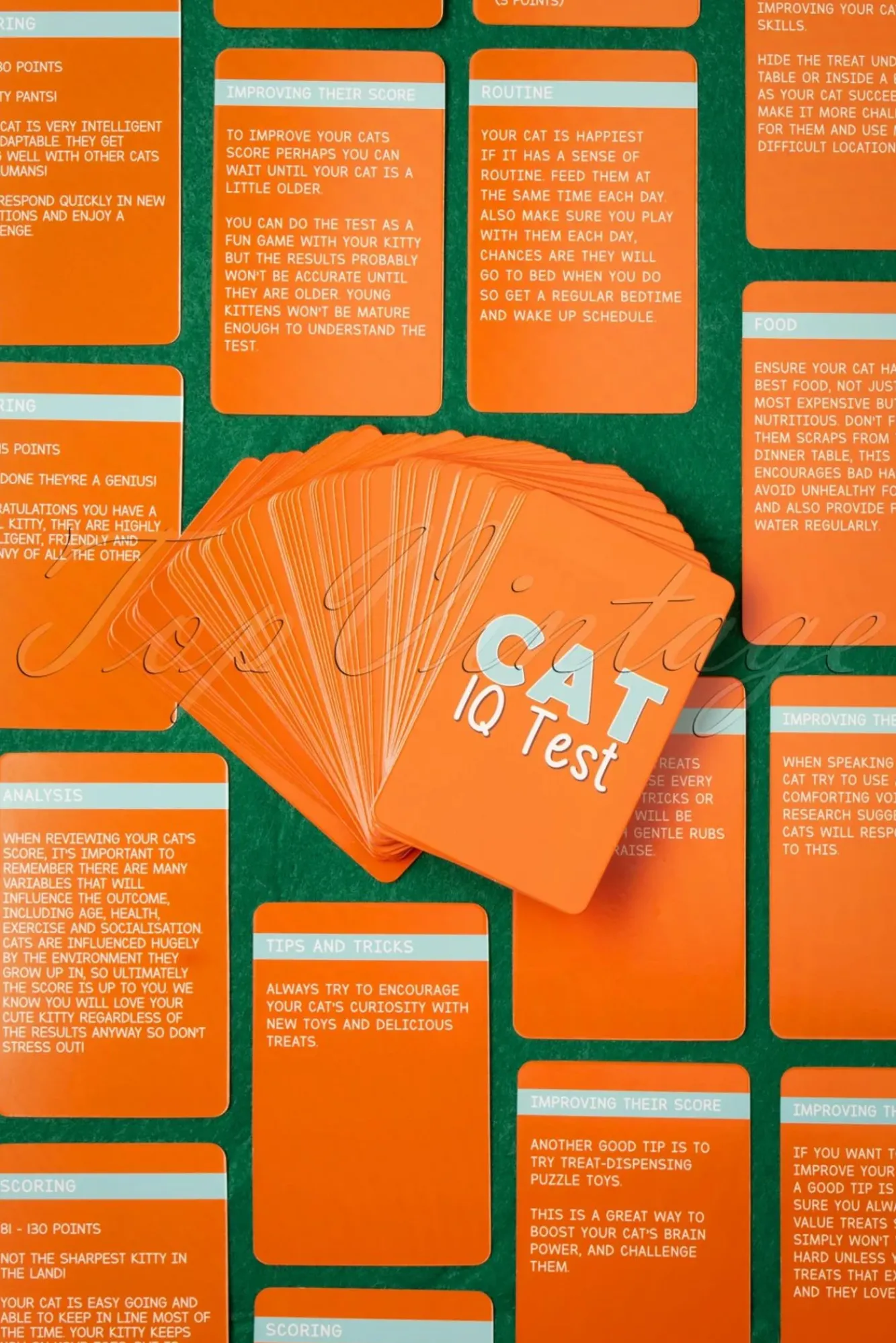 Sale Katten Iq-Test! Vrouwen Home & Lifestyle