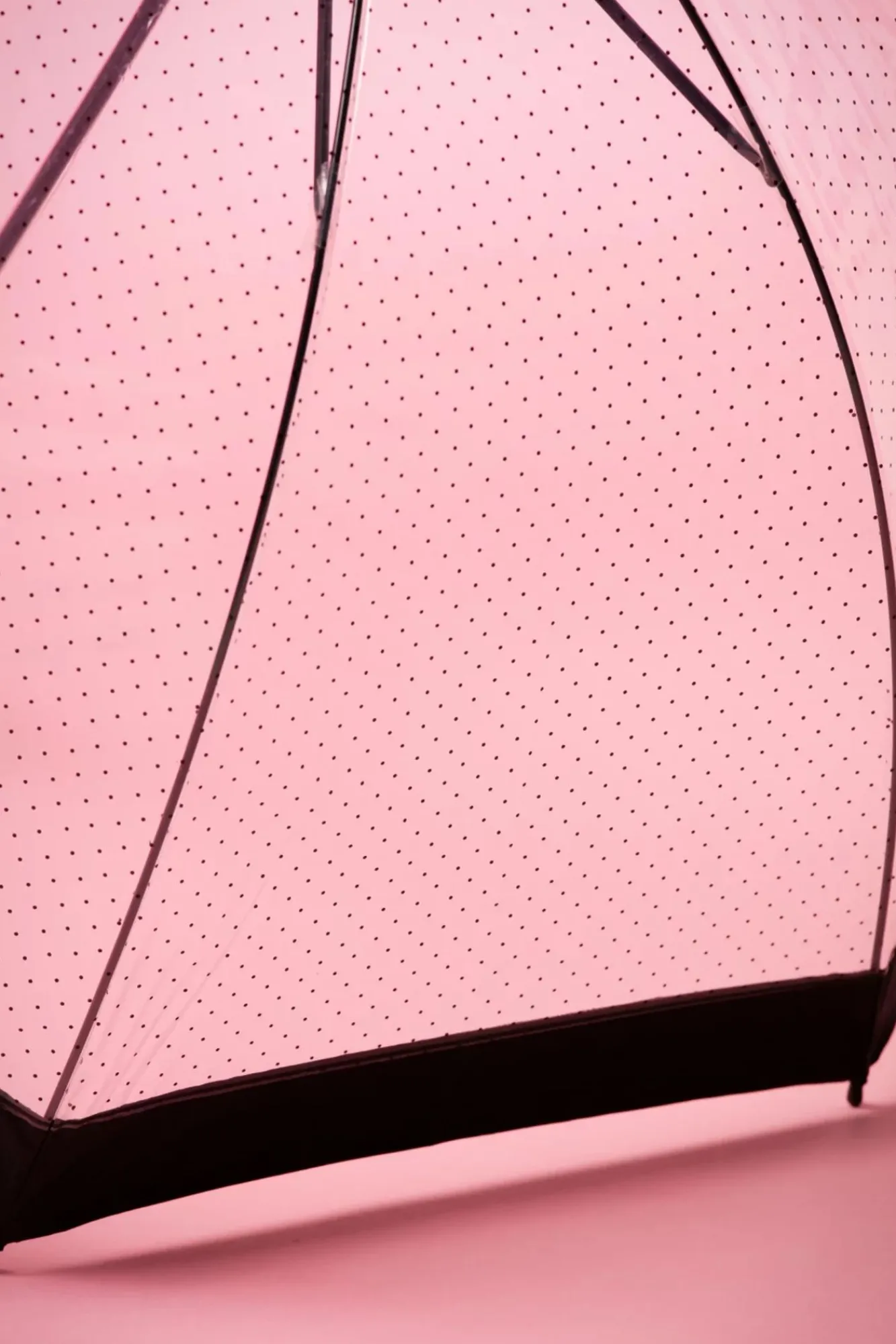 Sale Lady Dot Transparante Koepelparaplu In Zwart Vrouwen Paraplu's