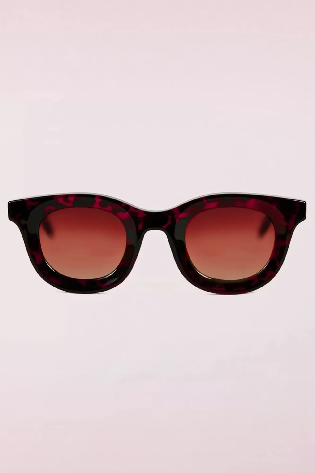 Sale That Girl Zonnebril In Bruin Vrouwen Zonnebrillen